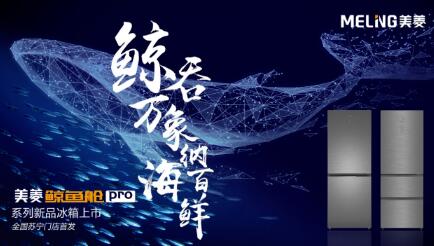 中国家电“大”动作，为什么由这家品牌主导？