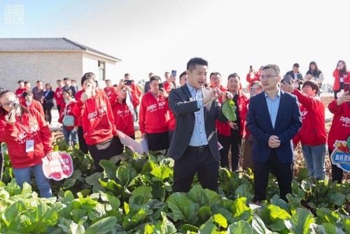 住在闹市，吃在源头，跟随国科优选溯源团队走进“我家的地”