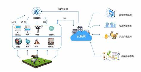 【新时代青年说】黄辰：发展智慧农业，做新时代“农业人”