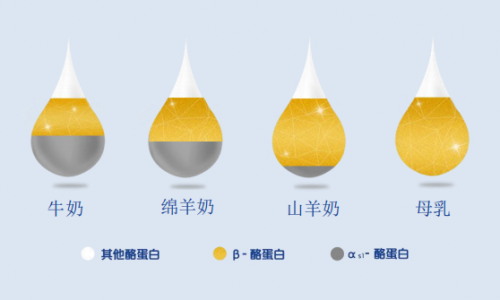 牛奶过敏的宝宝喝什么奶粉好？简单分享助力宝妈选奶避雷