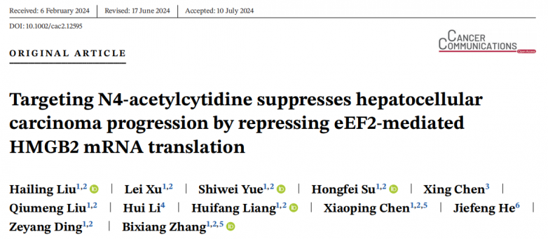 Cancer Commun | 喜讯！武汉同济医院张必翔团队团队发现肝癌治疗新靶标