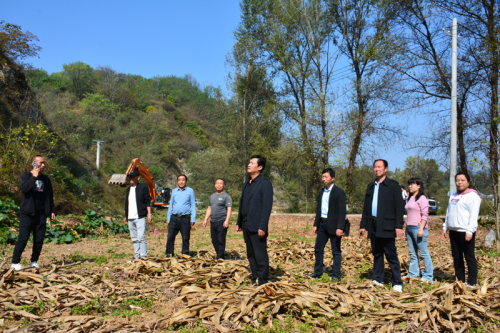 耕耘希望，响彻云霄 —— 柏峪寺镇坡底村高标准农田建设记实