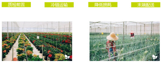 游戏的截图

低可信度描述已自动生成