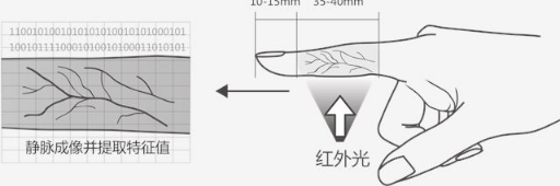 半岛BOB智能门锁会“思考”！不止便捷更安全东屋指静脉锁完美筑防(图2)