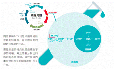 华瑞同康周际：癌症早筛的关键在于动态预警